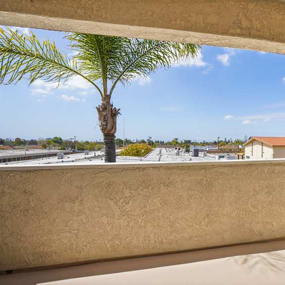a palm tree is seen from a balcony.