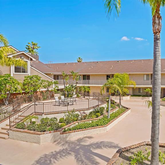 a palm tree stands in the middle of a courtyard with a building in the background.