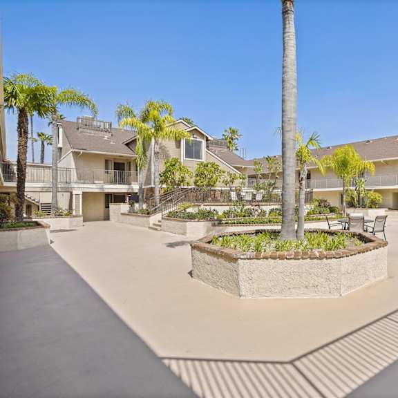 a courtyard with a palm tree in the center.