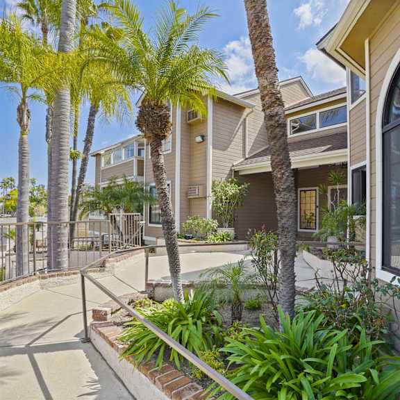 a sunny day at a residential area with palm trees and apartment buildings.