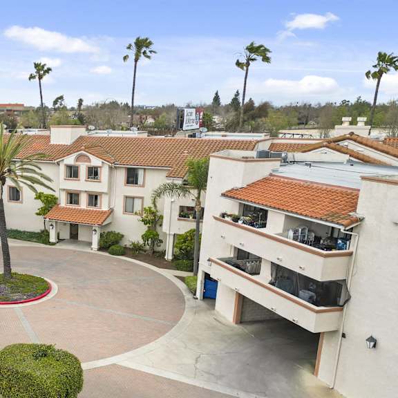 a courtyard with a palm tree and a red circle in the middle.