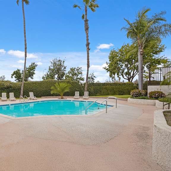 a pool surrounded by palm trees and lounge chairs.