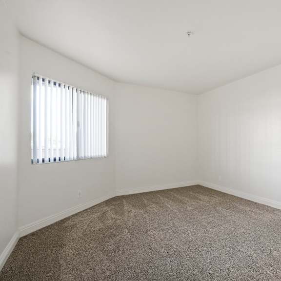 a room with a carpeted floor and a window with blinds.