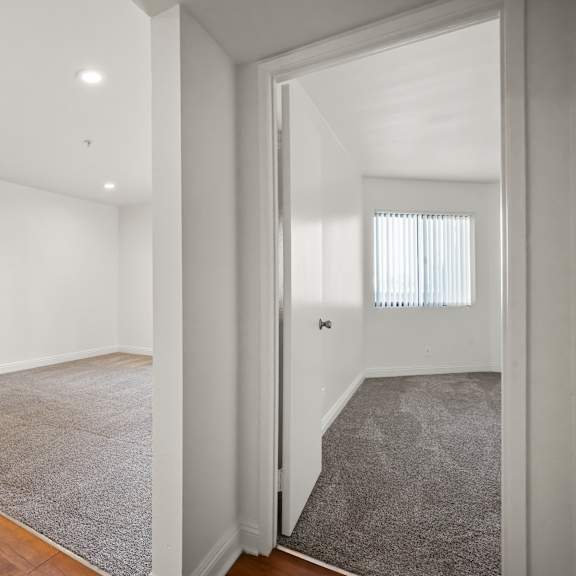 a room with a grey carpet and wooden floor.