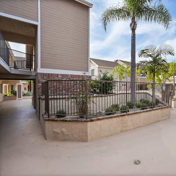 a palm tree stands in the middle of a courtyard surrounded by apartment buildings.