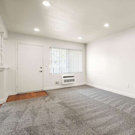 a room with a carpet and a window with blinds.