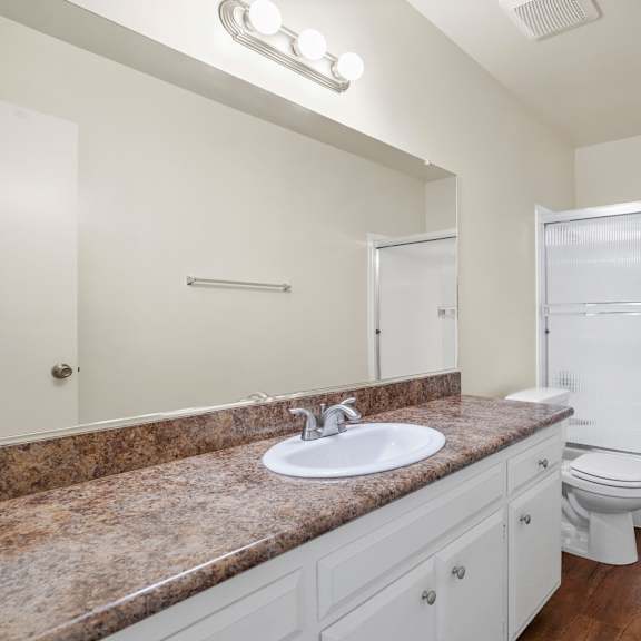 a bathroom with a sink, toilet, and a mirror.
