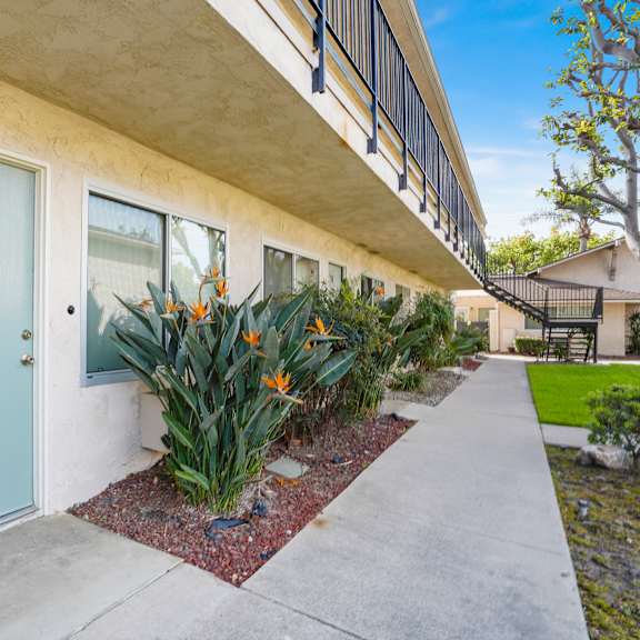 a blue door with the number 56 on it is on the left side of a building.