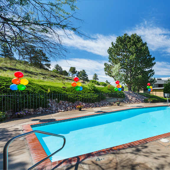 a pool surrounded by trees and bushes with a clear blue sky.