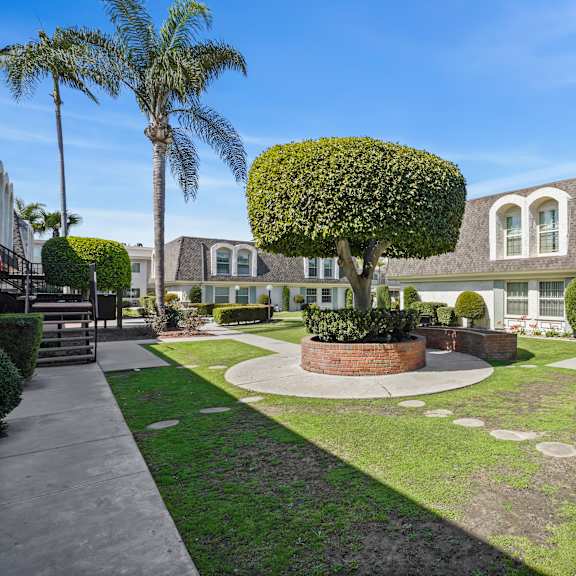 a well-manicured lawn with a circular garden in the middle of a residential area.