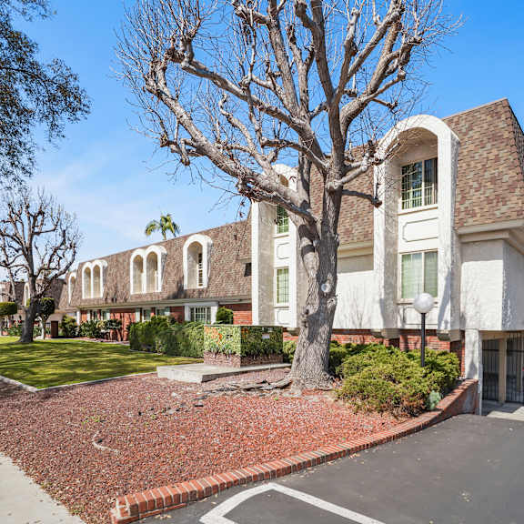 a large white building with a tree in front of it.