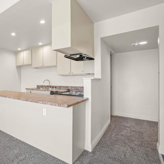 a kitchen area with a counter and cabinets.