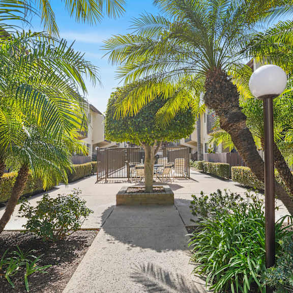 a sunny day in a tropical garden with palm trees and a bench.