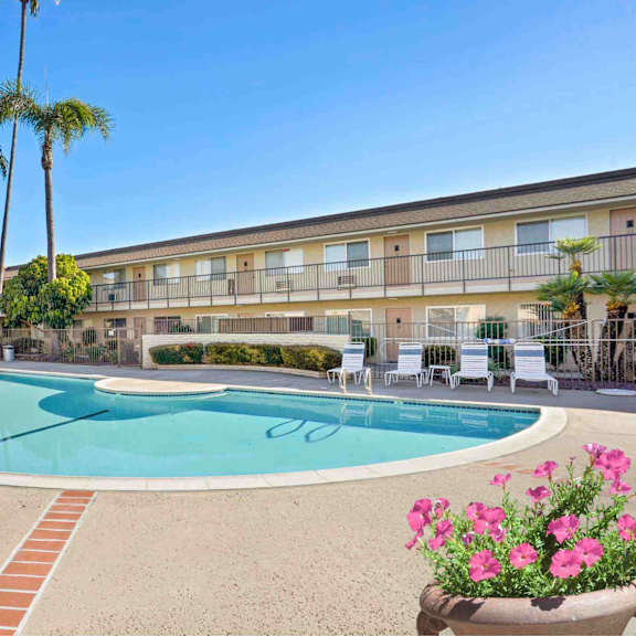 a large outdoor swimming pool surrounded by palm trees and lounge chairs.
