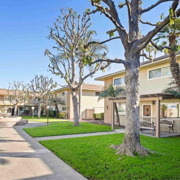 a tree-lined walkway leads to a building entrance.