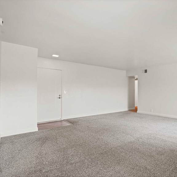 a large, empty room with grey carpeting and white walls.