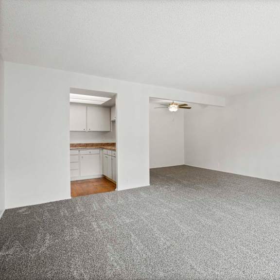 a room with a grey carpet and white walls.