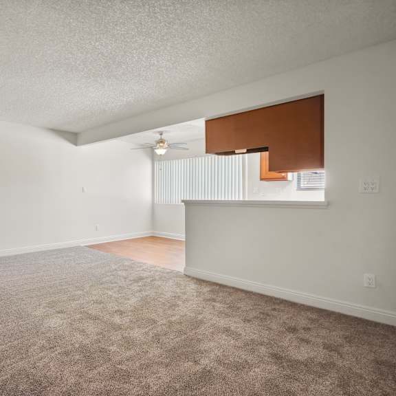 a room with a carpeted floor and a window with blinds.