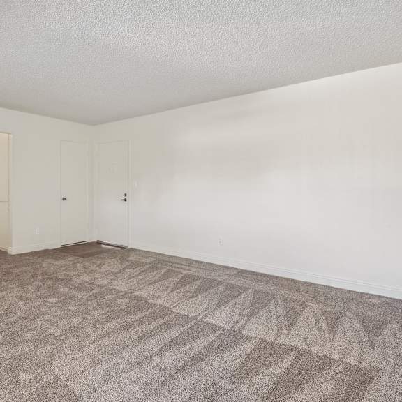 a carpeted room with a door and a mirror.