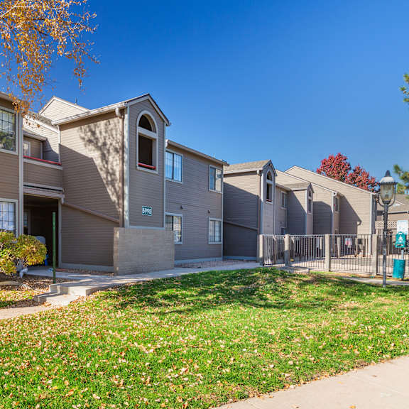 a row of houses with a tree in front of them.