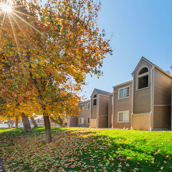 a row of houses with a tree in the foreground.