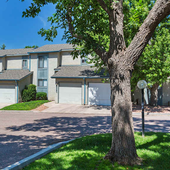 a tree stands in front of apartment buildings.