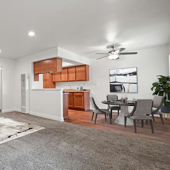 a modern living room with a grey rug and a grey sofa.