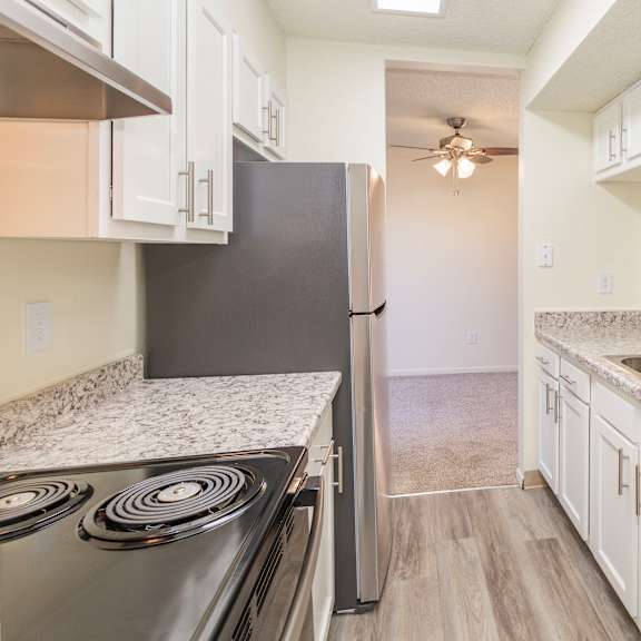 a kitchen with a black refrigerator, stove, and dishwasher.