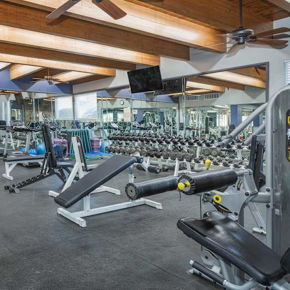 a gym with a variety of equipment including treadmills, weights, and exercise machines.