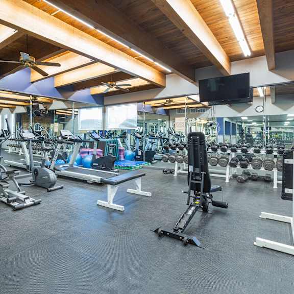 a spacious gym with a variety of equipment including treadmills, weights, and exercise machines.