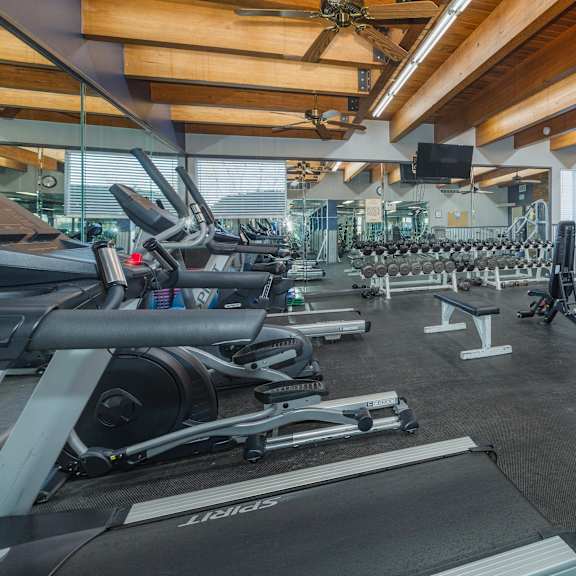 a gym with treadmills, weights, and exercise equipment.