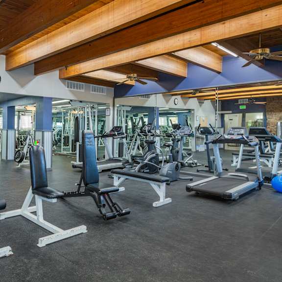 a gym with a variety of equipment including weights and benches.