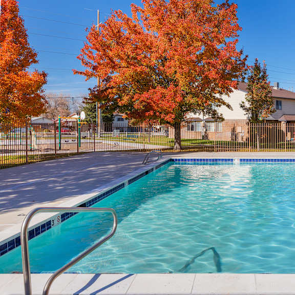 a swimming pool surrounded by trees with autumn leaves.