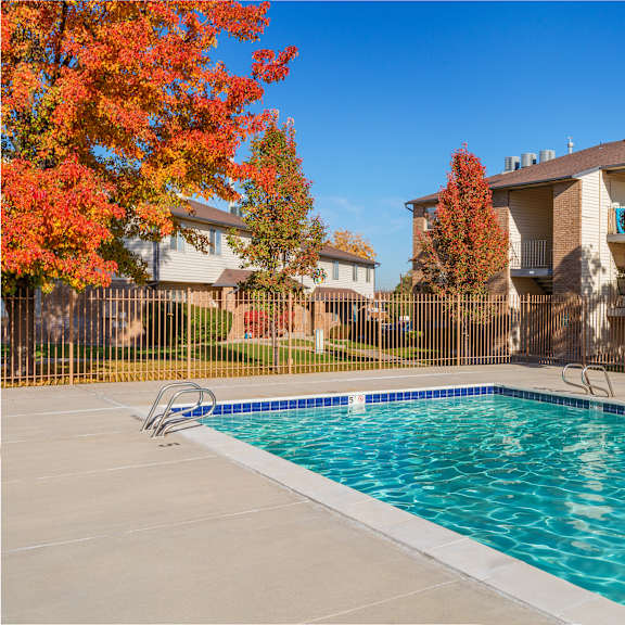 a swimming pool surrounded by trees with autumn leaves.