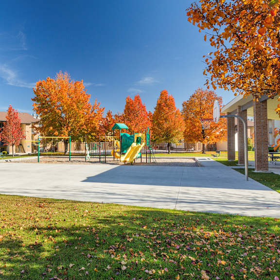 a playground with a yellow slide surrounded by trees with red and orange leaves.