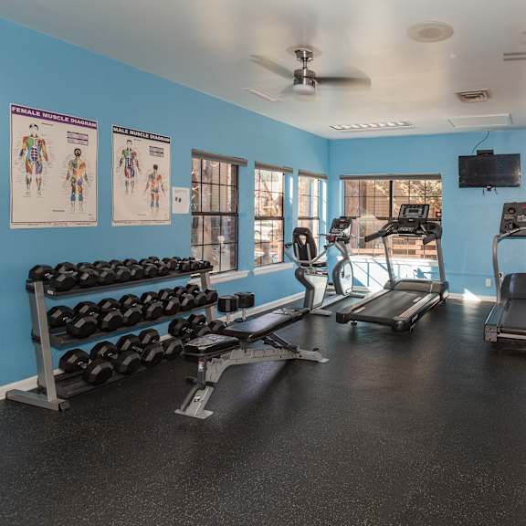 a gym with a variety of equipment including treadmills, benches, and weights.