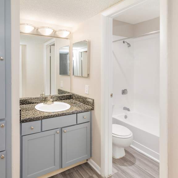 a bathroom with a sink, mirror, and toilet.