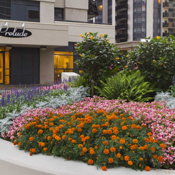 a flower bed in front of a building
