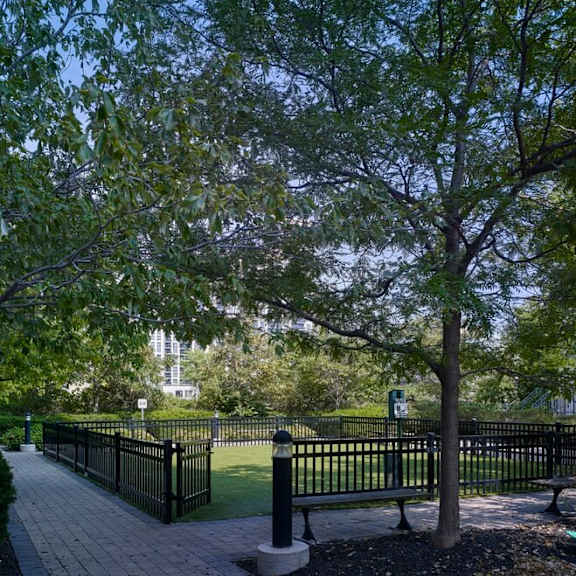 a park with a bench and trees