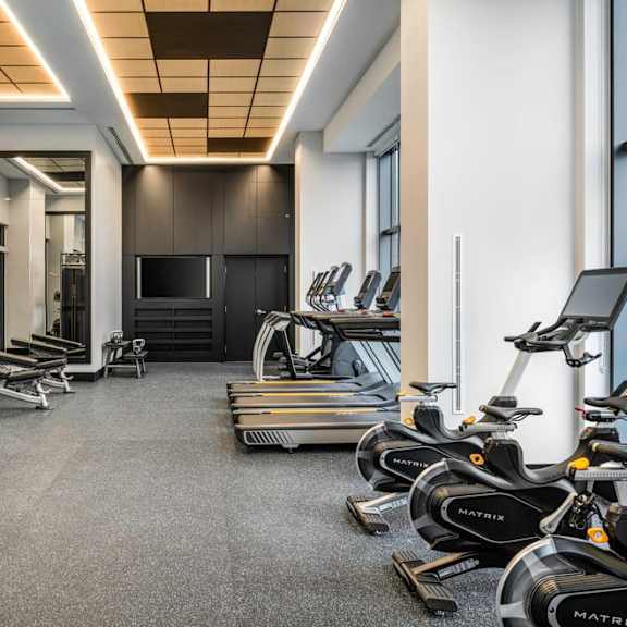 an image of a gym with weights and cardio equipment