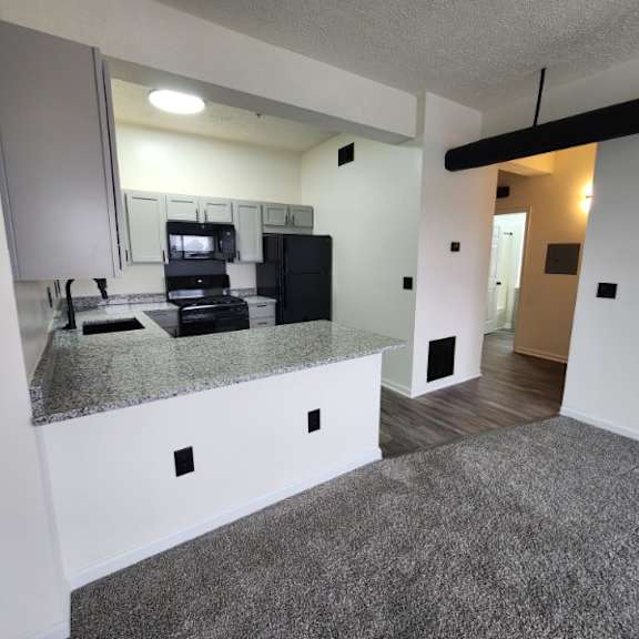 a kitchen with a granite countertop and a fridge.