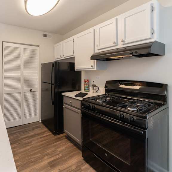 kitchen cabinets at the view apartments st charles, st charles, 60174