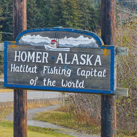 a sign that says homer alaska halibut fishing capital of the world.