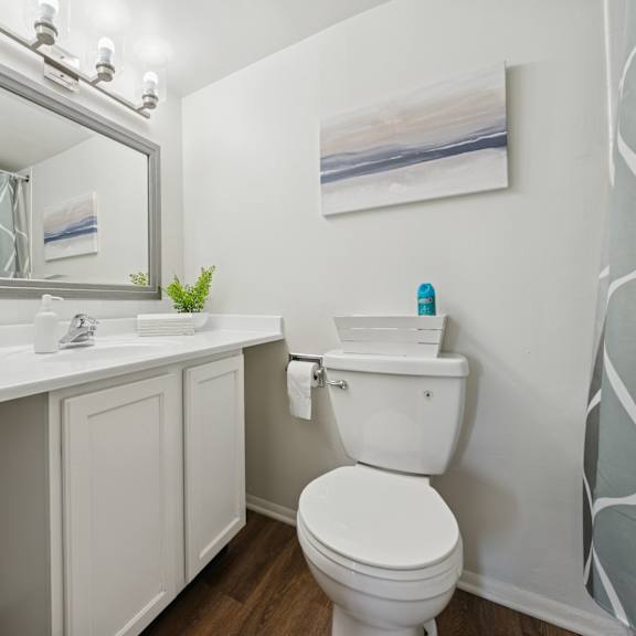 a white toilet sits next to a sink in a bathroom.