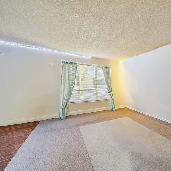 a room with a carpet and a window with curtains.