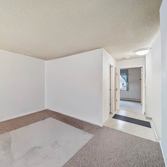 a room with a carpet and a rug in the middle.