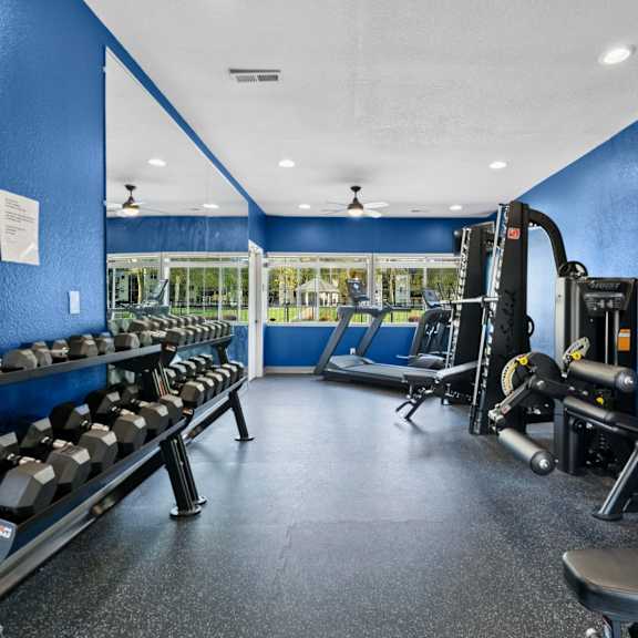 a gym with blue walls and a variety of equipment.
