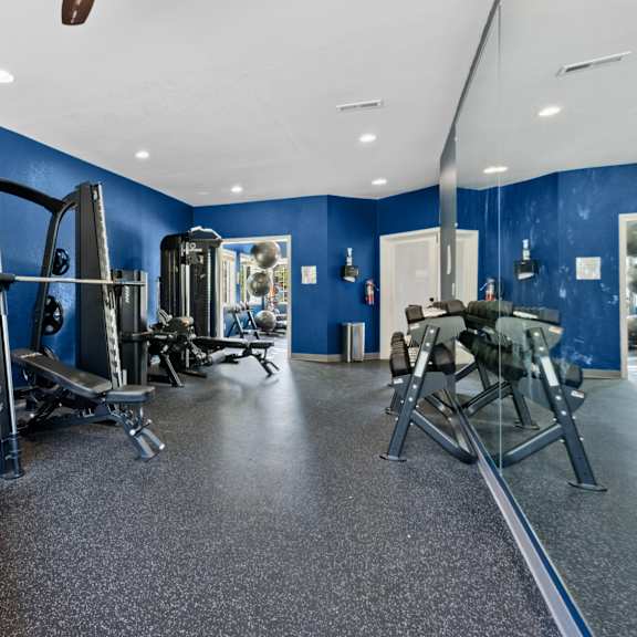 a gym with a treadmill, weights, and exercise machines.