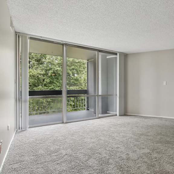a room with a grey carpet and a large window with a view of trees.