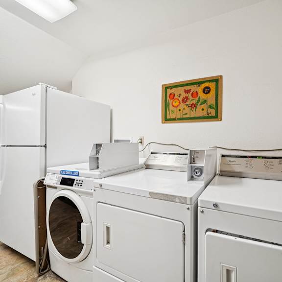 a picture of a washing machine and dryer in a laundry room.